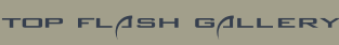 lemmenmeier webagentur z&uuml;rich corporate web design company and programming developer flash design services e-business firmen